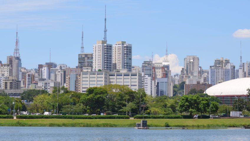 Dedetização sp
